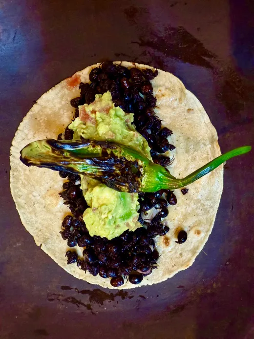 Taco de chapulines con guacamole